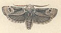 Thumbnail for version as of 15:42, 19 February 2016