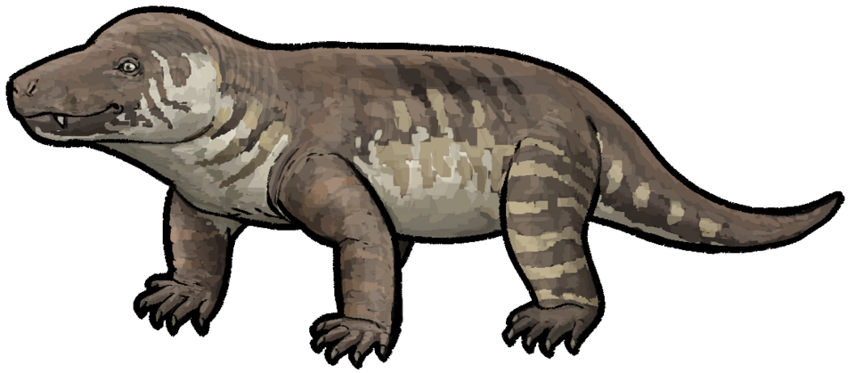 File:Cynognathus crateronotus.png