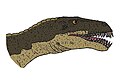 Masiakasaurus