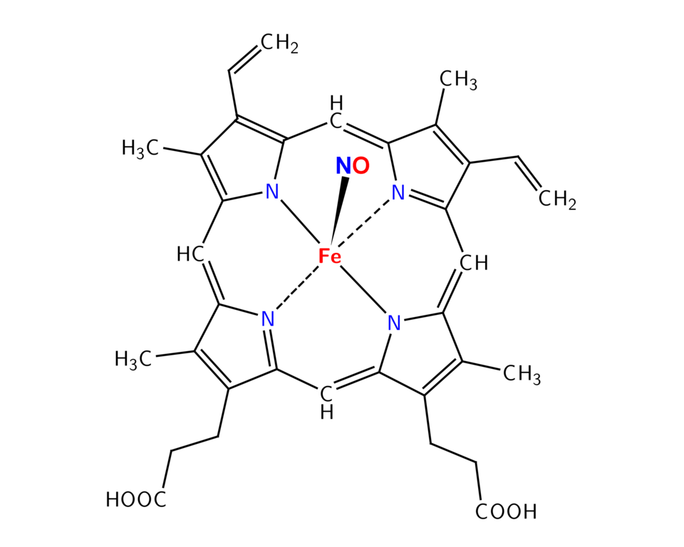 File:Nitrosyl-Heme.png