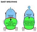Thumbnail for version as of 12:36, 14 June 2017