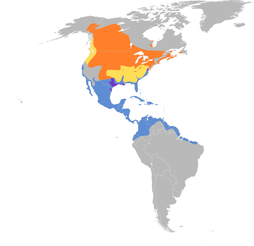 File:Spatula discors map.svg