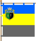 Flag of Ternivka