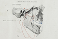 Thumbnail for version as of 08:34, 30 November 2013
