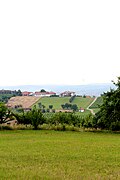 Bujačić - panorama