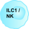 Graphic of an ILC1/NK cell