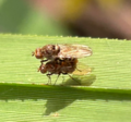 Thumbnail for version as of 23:41, 7 July 2025