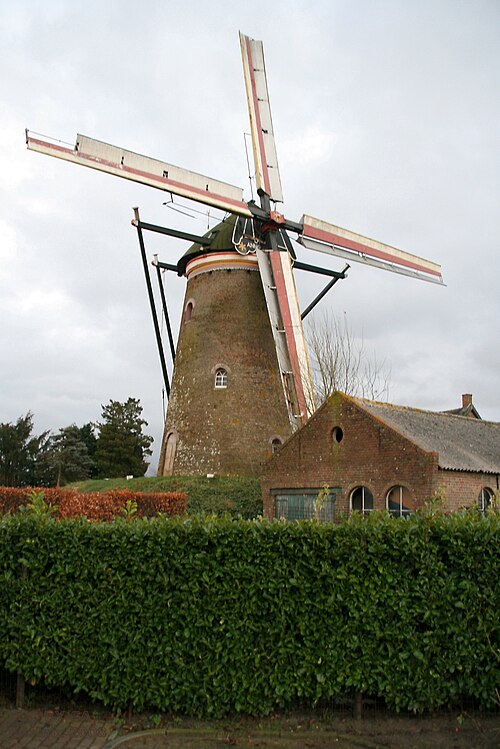 File:Nispen - Molen Van Aerden.jpg