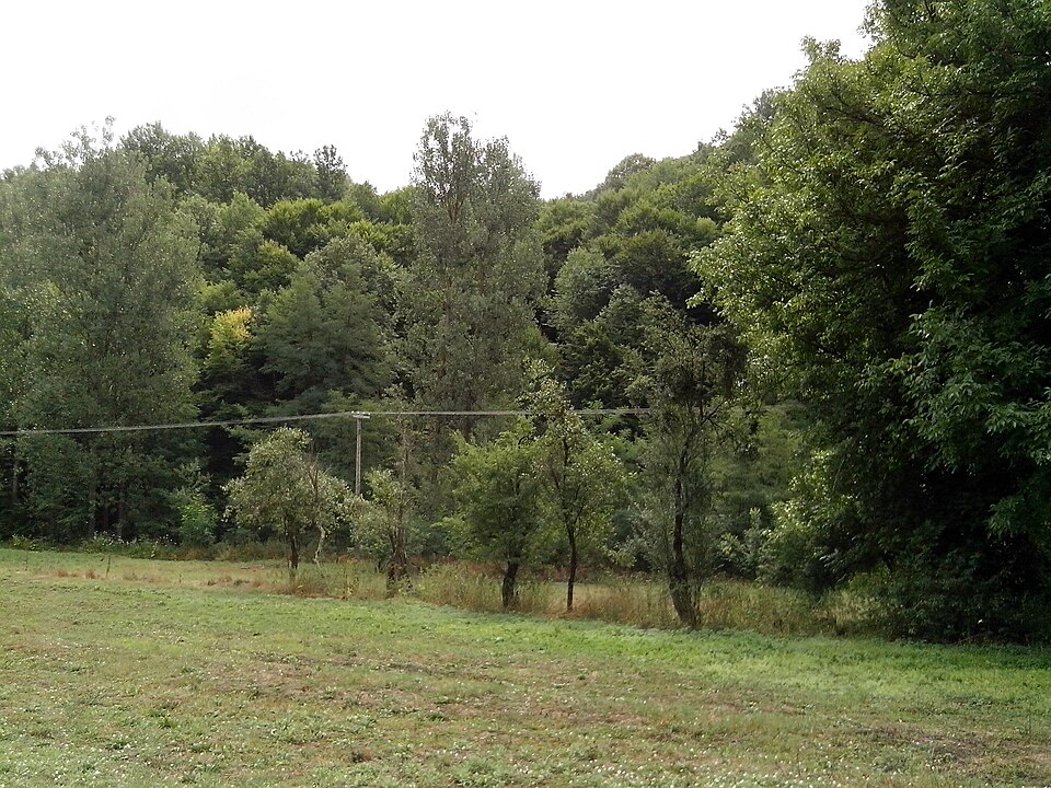 File:Selo Pestiš.jpeg