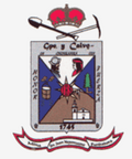 Coat of arms of Guadalupe y Calvo