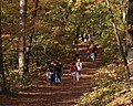 Talcott Mountain trail