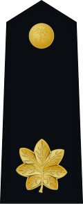 File:US Marine O4 shoulderboard dress.svg
