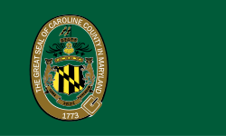 A green flag with the county seal on the left side