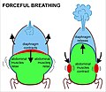 Thumbnail for version as of 12:37, 14 June 2017