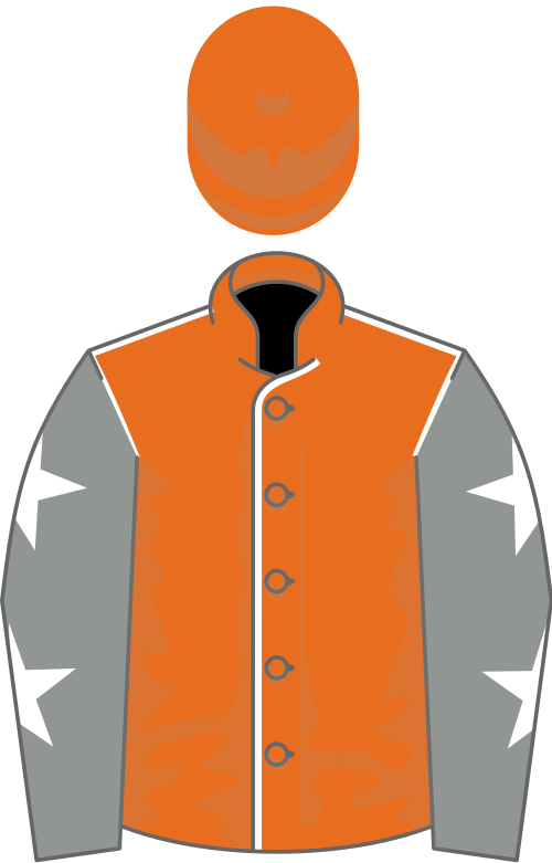 File:Owner Mr C J Haughey.svg