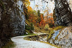 The cliffs of Zărnești