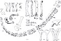Thumbnail for version as of 00:37, 5 January 2015