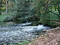 Spring of the River Bosna, Sarajevo (Autumn 2005)
