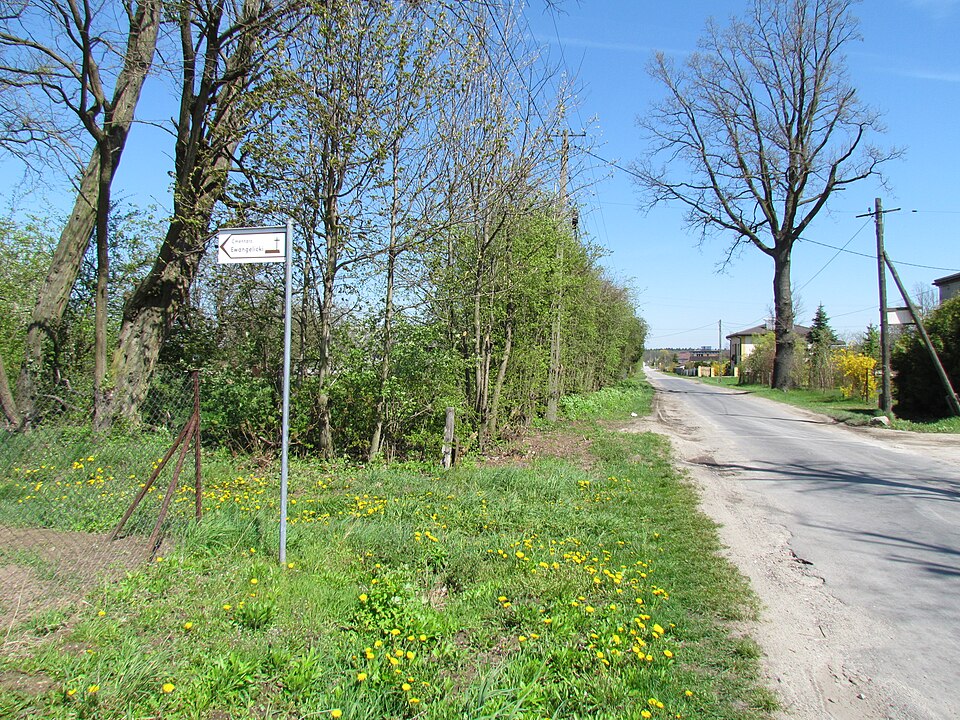 File:Łaznowska Wola cmentarz ewangelicko-augsburski 31.jpg
