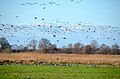 Polder Bramel