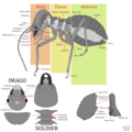 Thumbnail for version as of 22:29, 5 February 2023