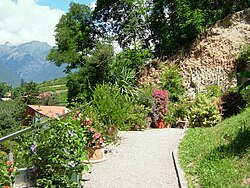 A walkway with plenty of shrubbery alongside it. A mountain is in the background.