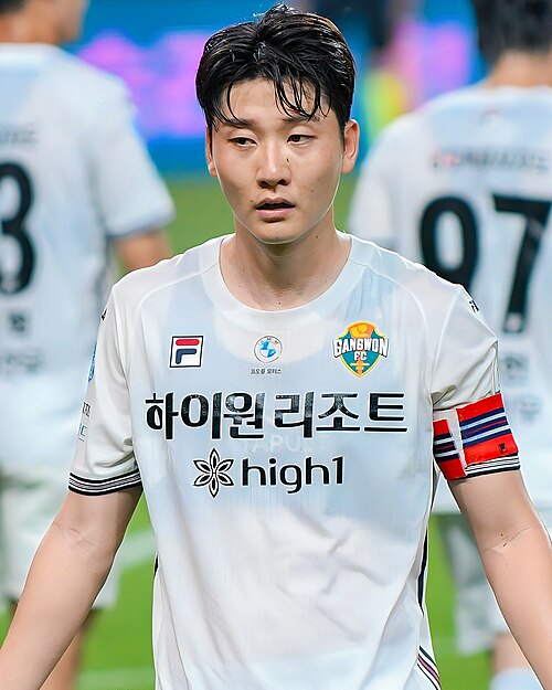 File:250617 FC 서울 vs 강원 (김동현).jpg