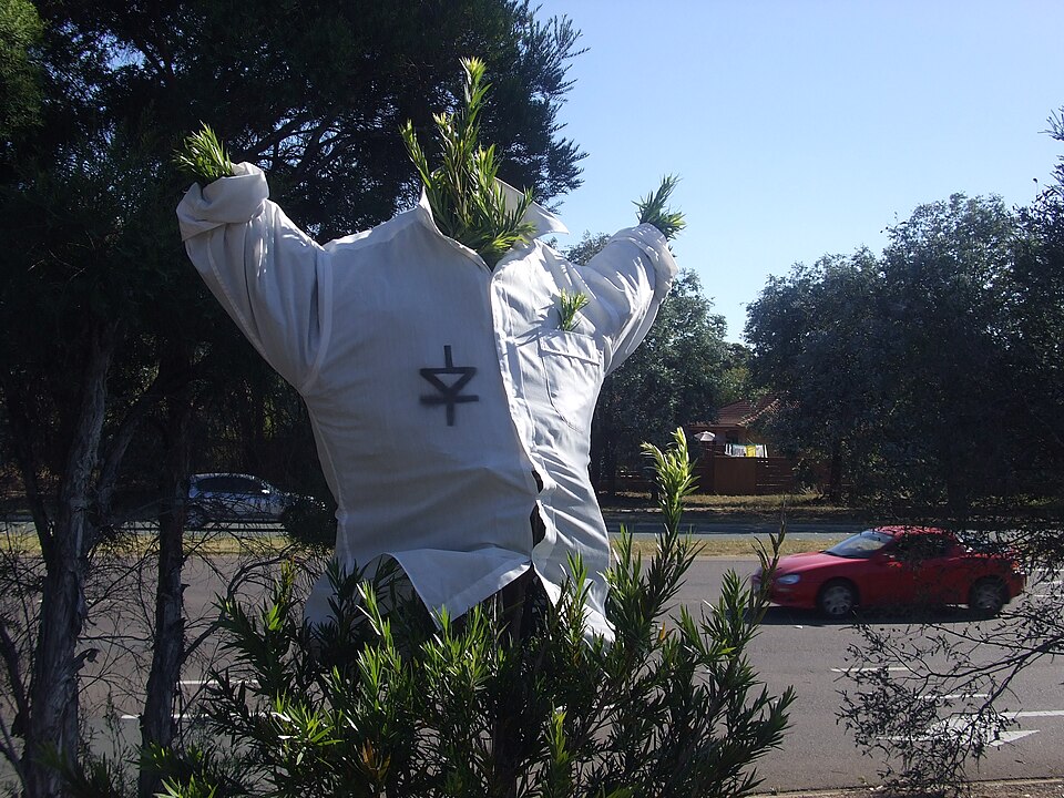 File:ClothedTree.jpg