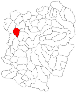 Location in Caraș-Severin County