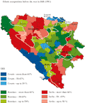 Bosnia and Herzegovina ethnic map (1991)
