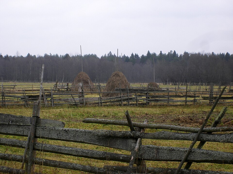 File:Galuninskaya - panoramio.jpg