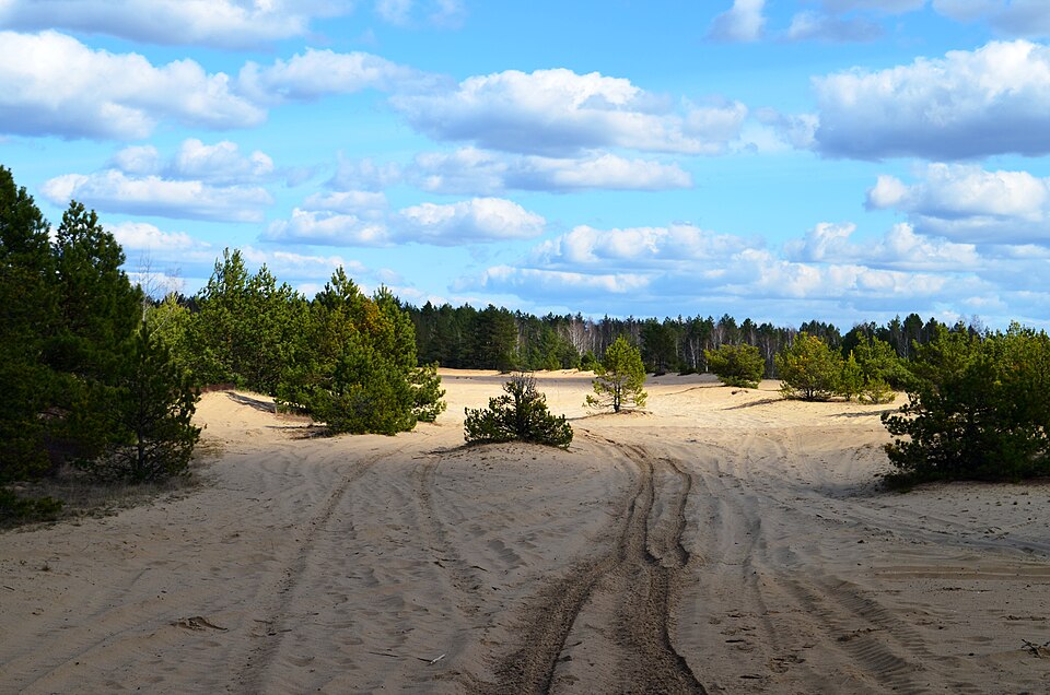 File:Rūdninkų poligonas, smėlynai.JPG