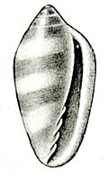 Thumbnail for version as of 13:44, 20 August 2023