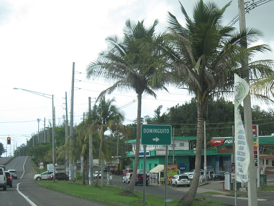 File:Dominguito, Arecibo, Puerto Rico.jpg