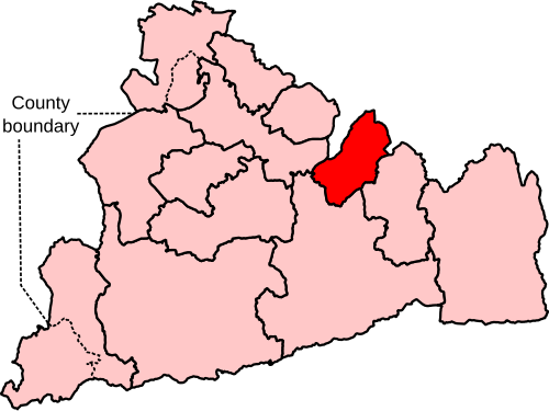 File:Epsom and Ewell Constituency 2023.svg