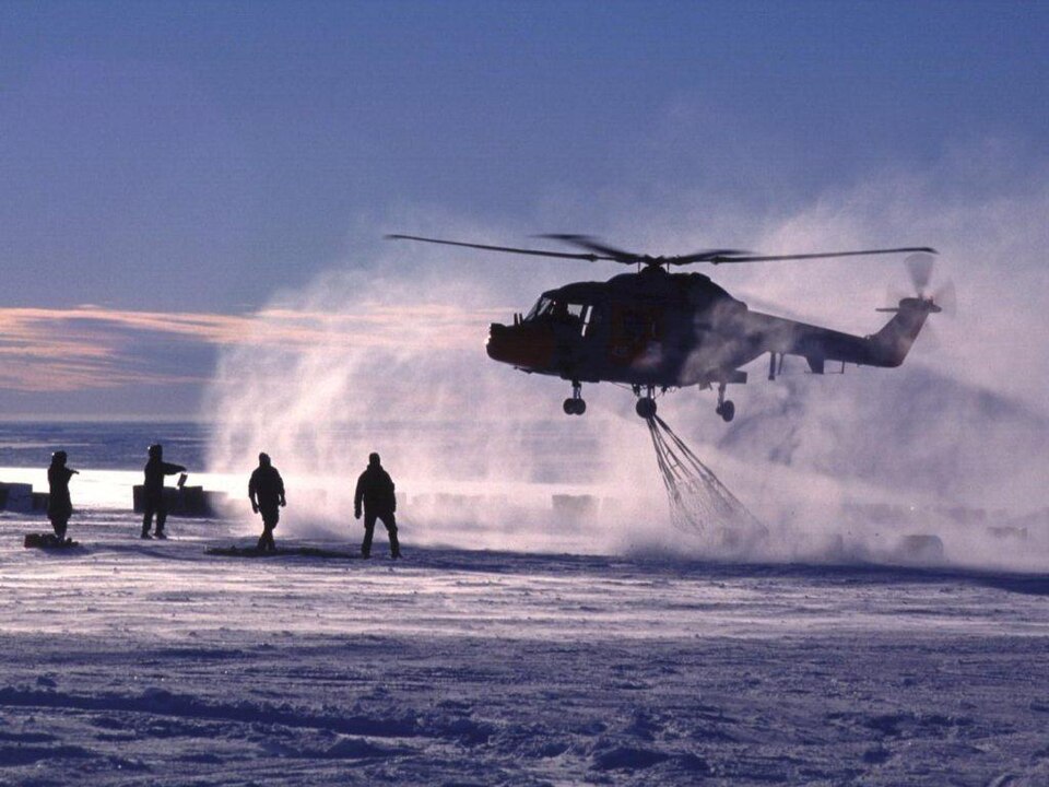 File:LynxInAntarctica.jpg