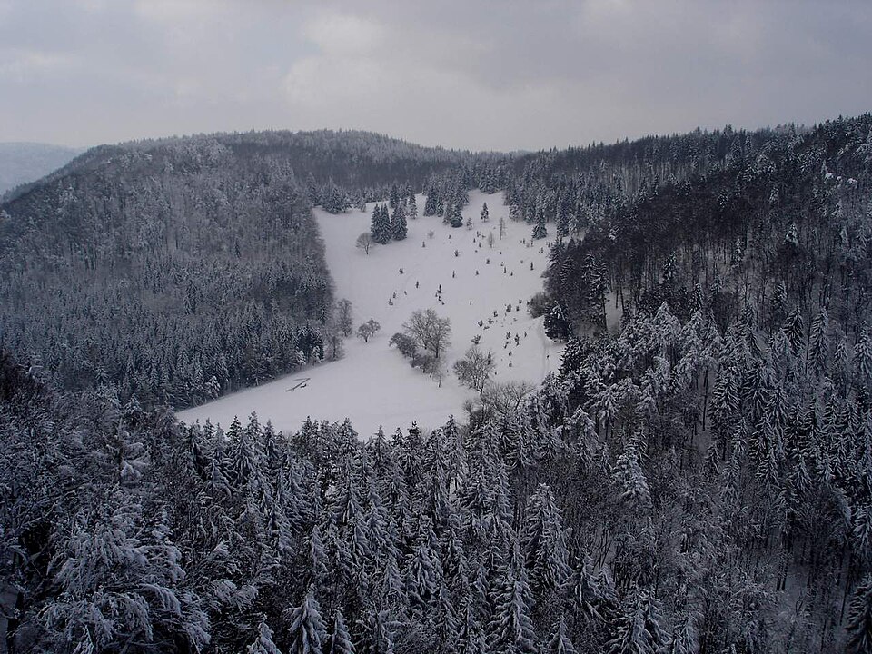 File:Nordhang Wenzelstein (Schwäbische Alb).jpg
