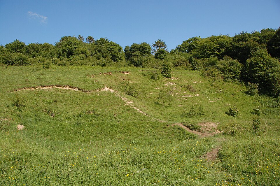 File:Park Gate Down 2.JPG