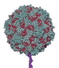 Thumbnail for version as of 21:57, 12 November 2007