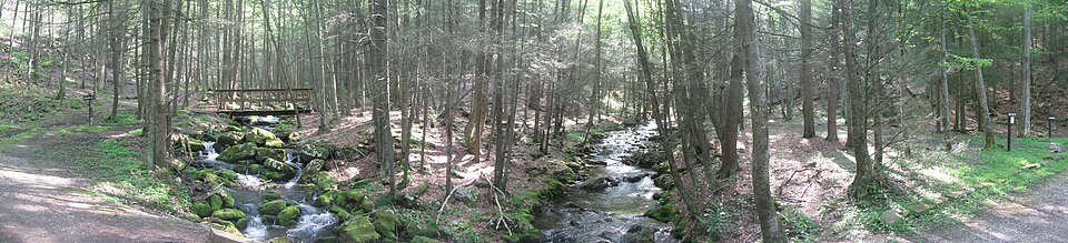 File:Snyder Middleswarth Natural Area panorama.jpg