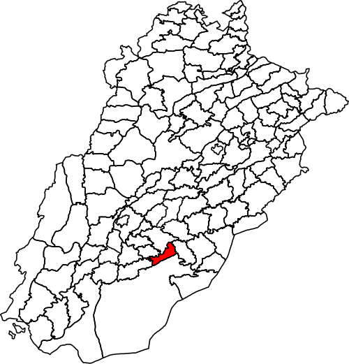 File:Khairpur Tamiwali Tehsil in Punjab, Pakistan.svg