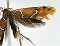 Thumbnail for version as of 07:41, 8 April 2013