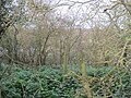 Cave's Inn Pits