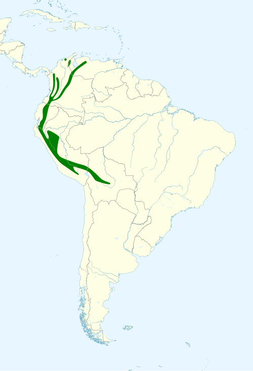 File:Cinclus leucocephalus map.svg