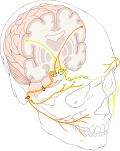 Thumbnail for version as of 11:38, 4 August 2010