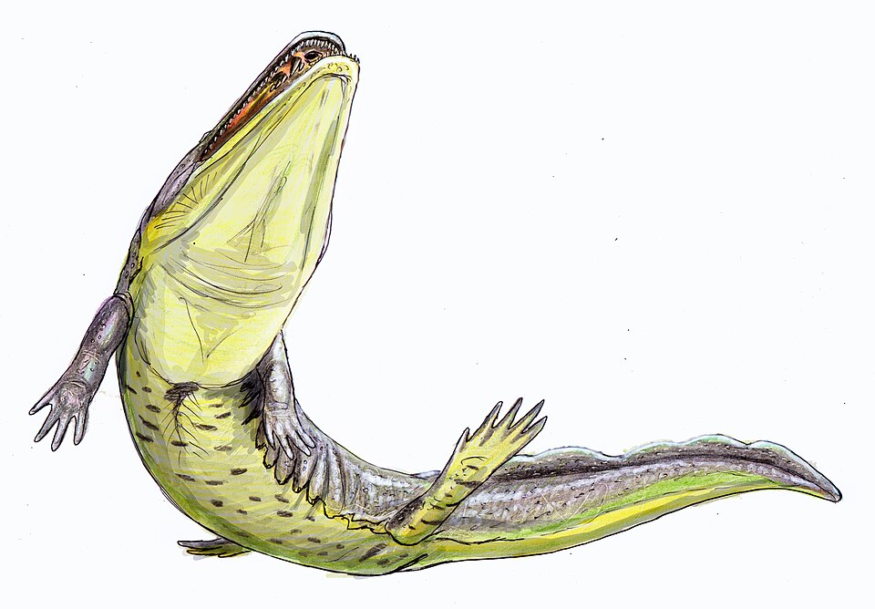 File:KryostegaDB16.jpg