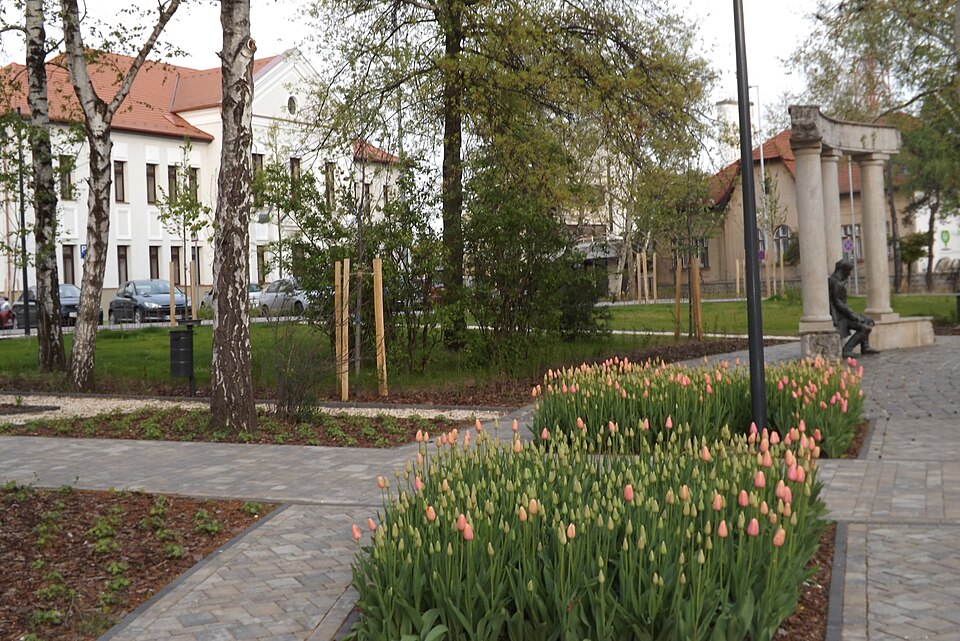File:Mátészalka 2014 április 161.jpg