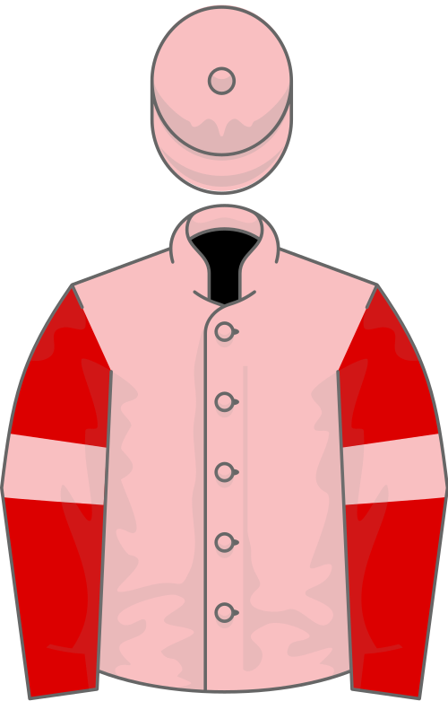 File:Owner White Bullet Partners.svg