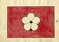 Flag 37