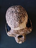 Thumbnail for version as of 07:46, 14 April 2009